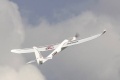 RR Easy Glider 4